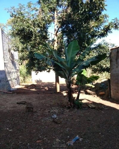Terreno - Foto 5