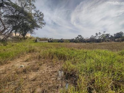 Terreno, 4 hectares - Foto 1