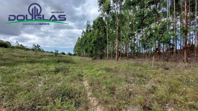 Terreno, 4 hectares - Foto 3