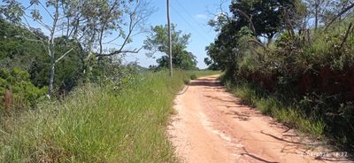 Terreno, 6 hectares - Foto 3