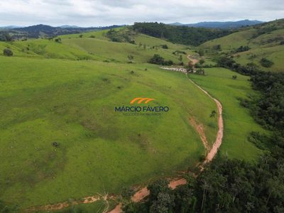 Fazenda, 334 hectares - Foto 3