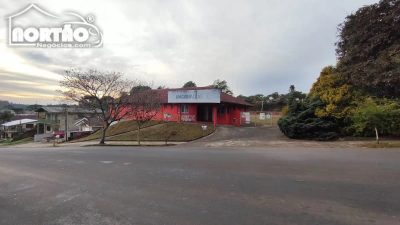 Casa, 4500 m² - Foto 4