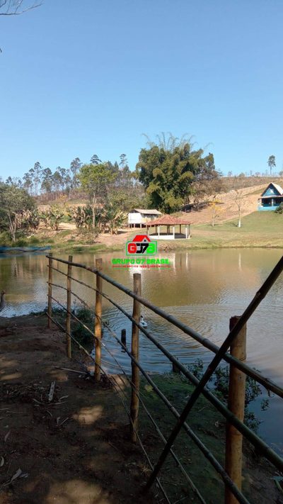 Terreno, 12 hectares - Foto 5