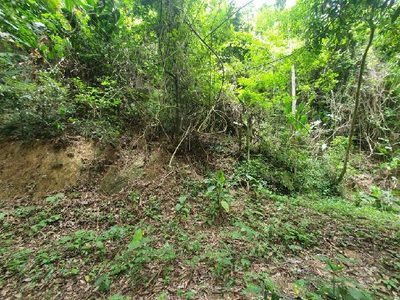 Terreno, 50 m² - Foto 1