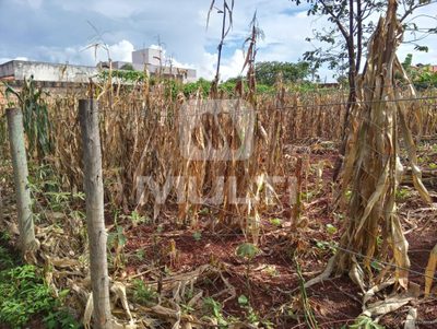 Terreno, 1 m² - Foto 3