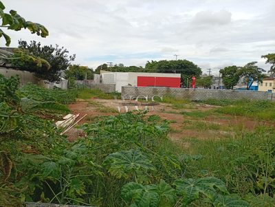 Terreno, 1596 m² - Foto 2