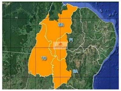 Fazenda, 4000 m² - Foto 5