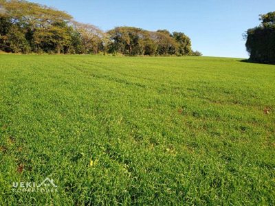 Sítio, 6 hectares - Foto 4