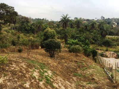 Terreno, 1200 m² - Foto 4