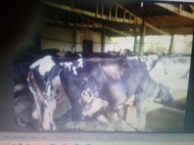 Fazenda, 47 m² - Foto 5