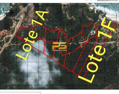 Terreno, 8 hectares - Foto 4