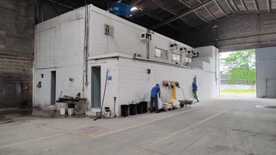 Depósito-Galpão, 5000 m² - Foto 5
