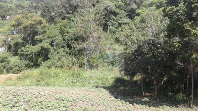 Terreno, 7200 m² - Foto 5