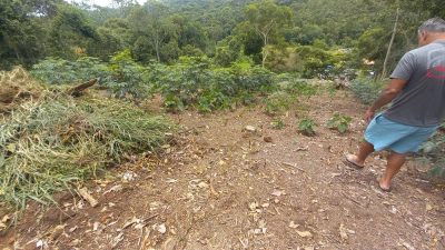 Terreno, 900 m² - Foto 4