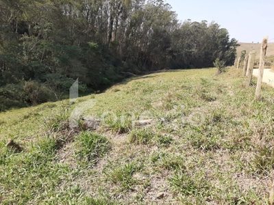 Sítio, 3 quartos, 200 m² - Foto 4