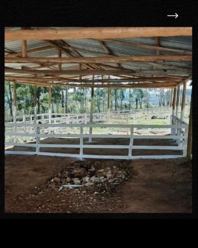 Fazenda - Foto 3