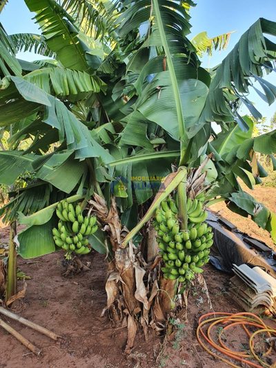 Chácara, 500 m² - Foto 4