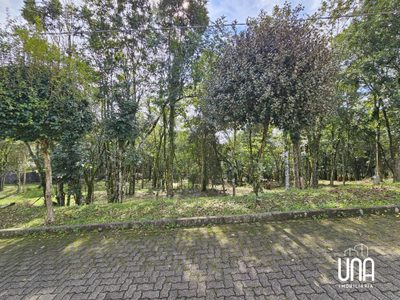 Terreno, 2283 m² - Foto 2