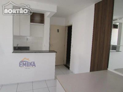 Casa, 2 quartos, 43 m² - Foto 5