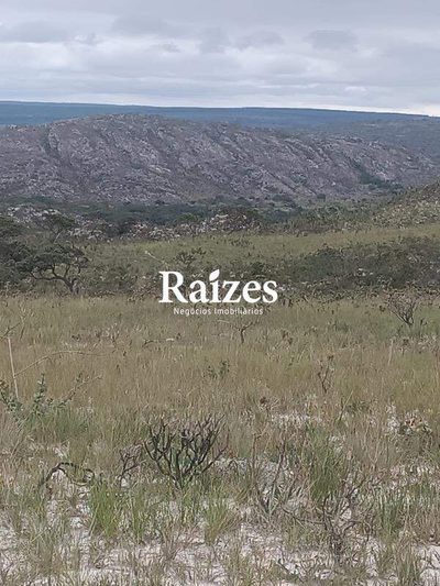 Fazenda - Foto 1