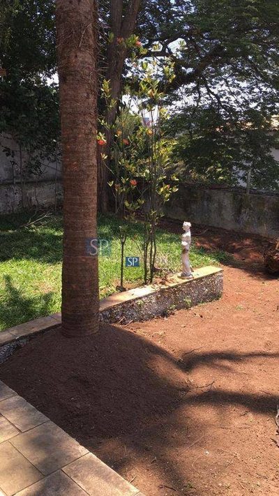 Casa, 5 quartos, 320 m² - Foto 5