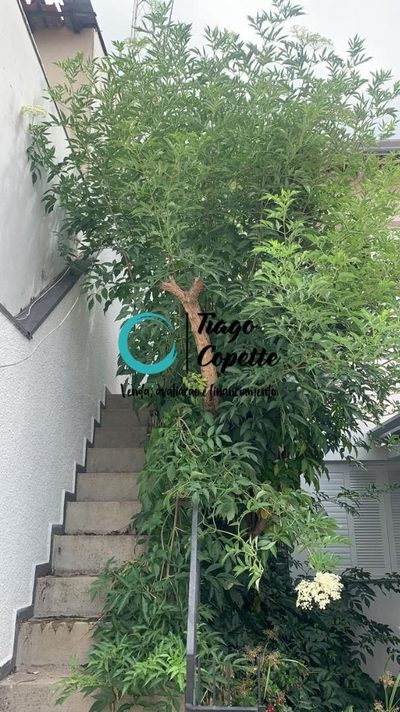Casa, 4 quartos, 243 m² - Foto 2