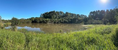 Sítio, 27999 m² - Foto 5