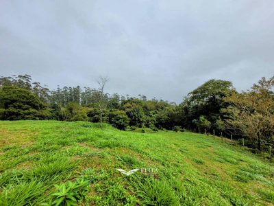 Chácara, 2 hectares - Foto 5