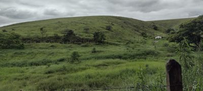 Fazenda, 200 m² - Foto 5