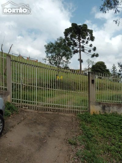 Casa, 5 quartos, 20000 m² - Foto 2