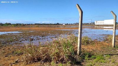 Terreno, 6 hectares - Foto 3