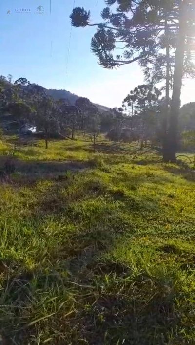Terreno, 16 m² - Foto 5