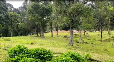 Terreno, 36 hectares - Foto 1