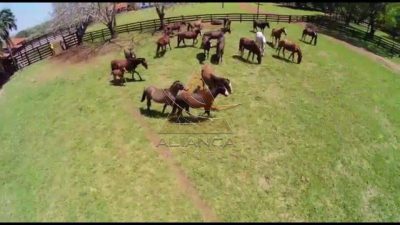 Fazenda, 5 hectares - Foto 4