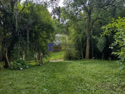Chácara, 3 quartos - Foto 1