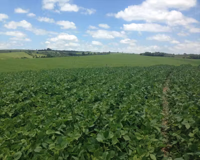 Fazenda, 364 m² - Foto 2