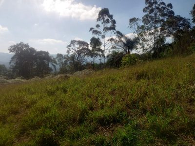 Terreno, 3000 m² - Foto 1