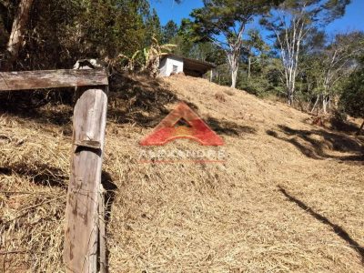 Terreno, 5000 m² - Foto 4