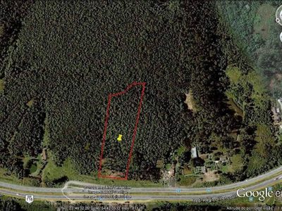 Terreno, 2 hectares - Foto 3