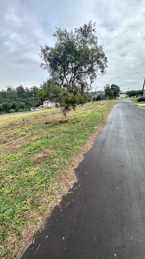 Loteamento e Condomínio, 1000 m² - Foto 4