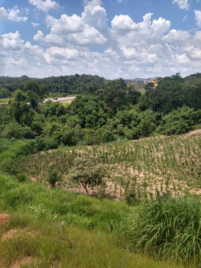Terreno, 33 hectares - Foto 2