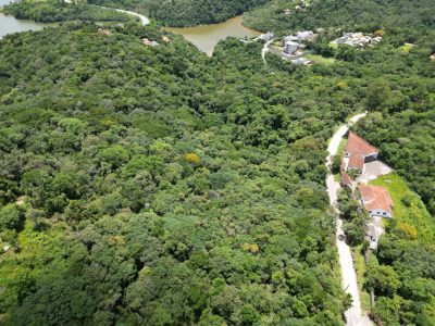Terreno, 3 hectares - Foto 3