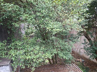 Terreno, 390 m² - Foto 5