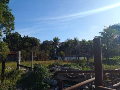 Terreno, 9800 m² - Foto 3