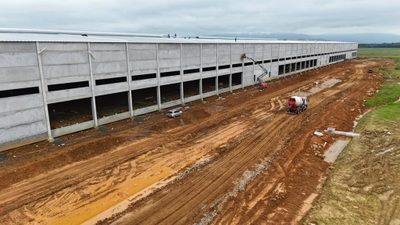 Depósito-Galpão, 46256 m² - Foto 3