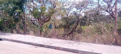 Terreno, 813 m² - Foto 5