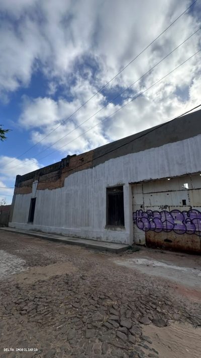 Depósito-Galpão - Foto 5