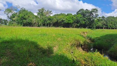 Terreno, 4 hectares - Foto 2