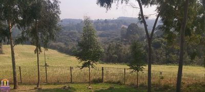 Terreno, 2 hectares - Foto 3