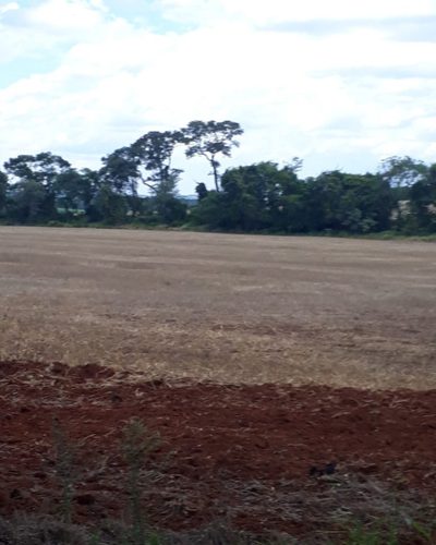 Fazenda, 1 quarto - Foto 4